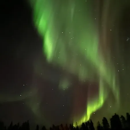 Premium Private Snowest *